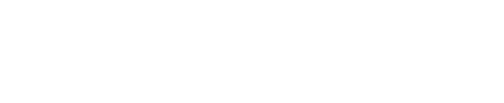 کارینا سکوریتی